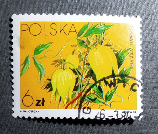 Марка Польша 1984 год Цветы