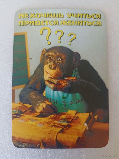Животные, Обезьяны, 2001 год. Карманные календарики, Календарик, Календарь