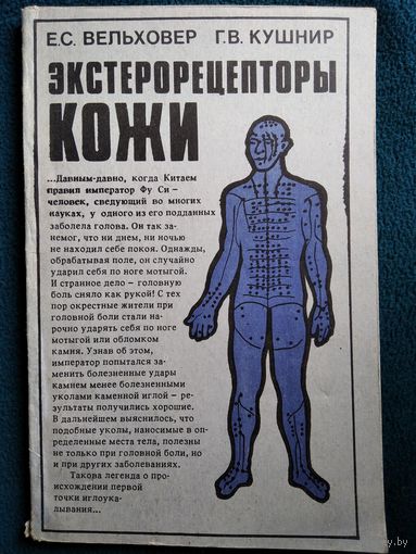Экстерорецепторы кожи