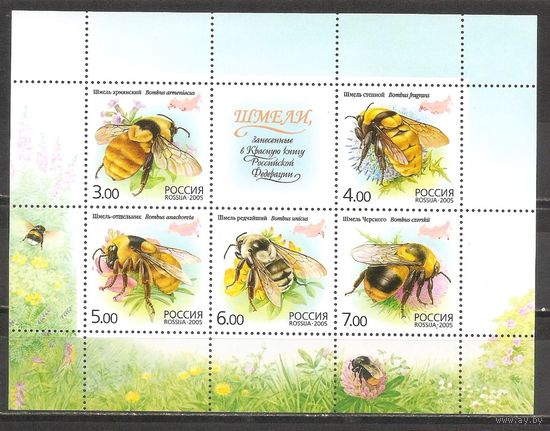 ФФ3 Россия 2005 Шмели