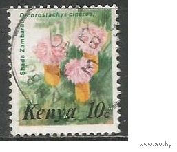 Кения. Цветы. Канерика. 1983г. Mi#240.