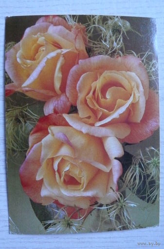 Цветы, розы; подписана, Германия, п/п ~1989, марка.