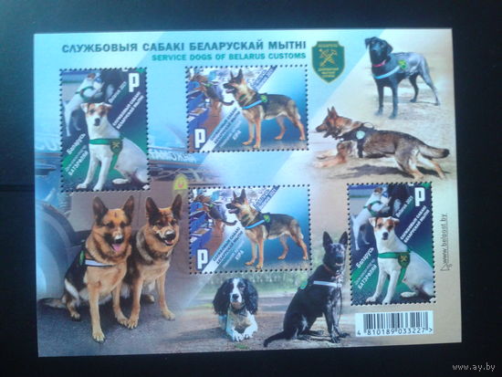 Беларусь 2021 Служебные собаки** Блок