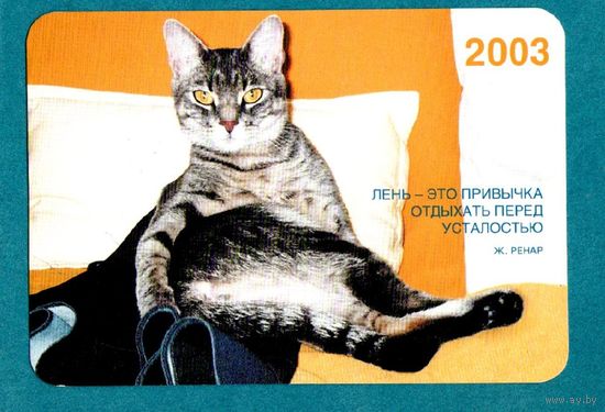 Календарик-2003
