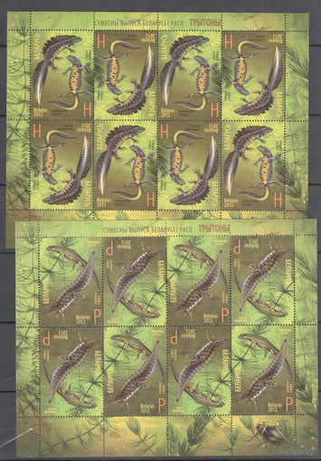 Беларусь-2012,(Мих.922-923) , ** , Фауна, Тритоны, 2 м/л