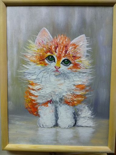 Рыжий котик