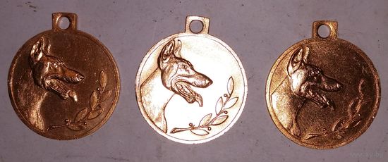 Медали собачьи. 3 шт. Одним лотом.