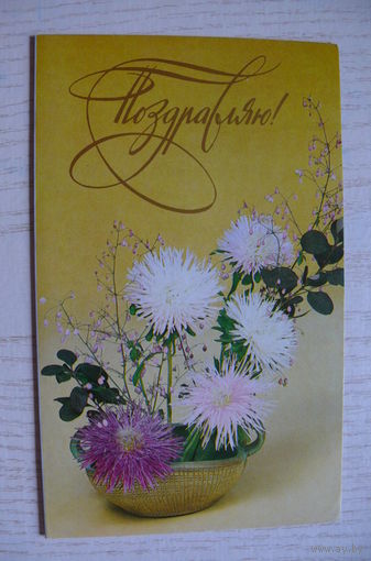 Артемов Е., Михайлова А., Поздравляю! 1987, двойная, чистая.