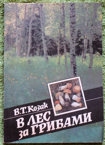В лес за грибами