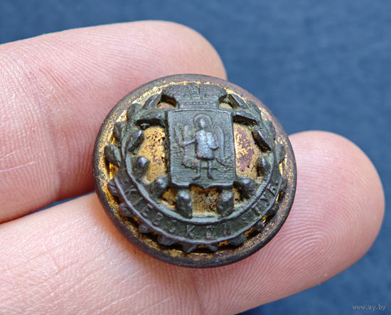 Пуговица РИ, Киевская губ, большая, накладная, 1857-1917