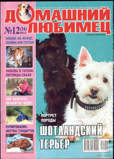 Домашний любимец #34