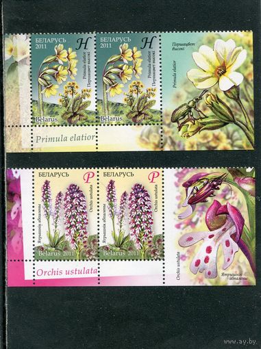 Беларусь 2011. Флора. Охраняемые растения. Сцепки с купоном
