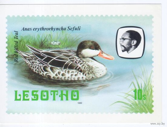 Открытка Лесото 1982г. Фауна.Птицы.Утка.