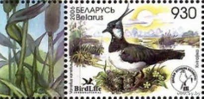 Беларусь 2006  Птица года. Чибис