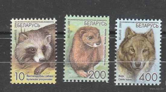 Беларусь-2008 Стандарт 3 марки простая бумага Состояние MNH** Фауна