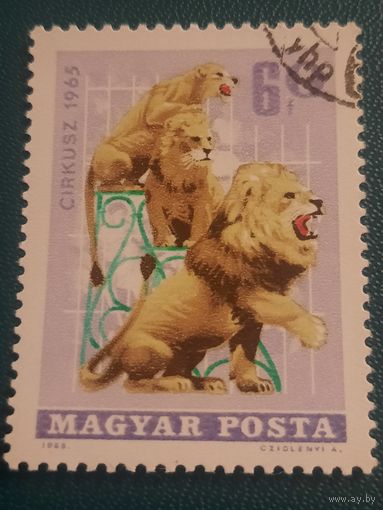 Венгрия 1965. Цирк. Дресированные львы. Марка из серии