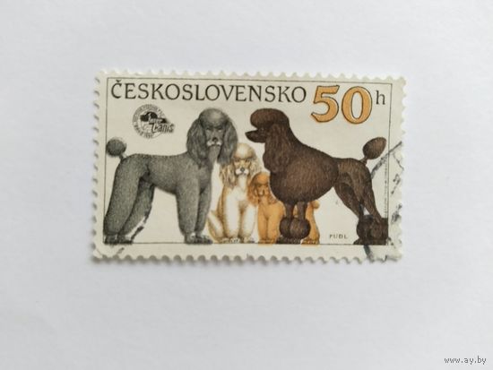 ЧССР  1990 собаки