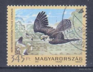 [260] Венгрия 2012. Фауна.Хищные птицы.Сокол-балобан. Концовка серии.Гашеная марка.
