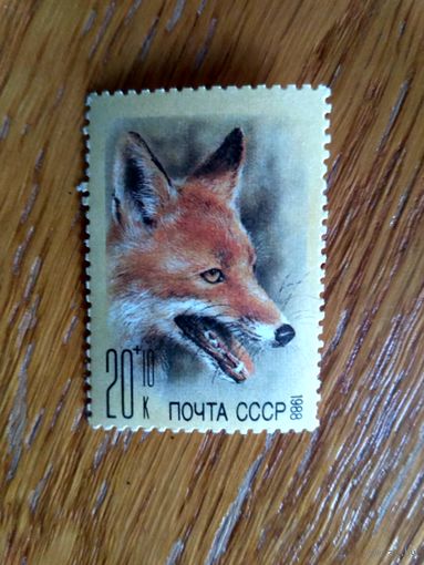 СССР. Лиса. Из серии Фонд помощи зоопаркам.