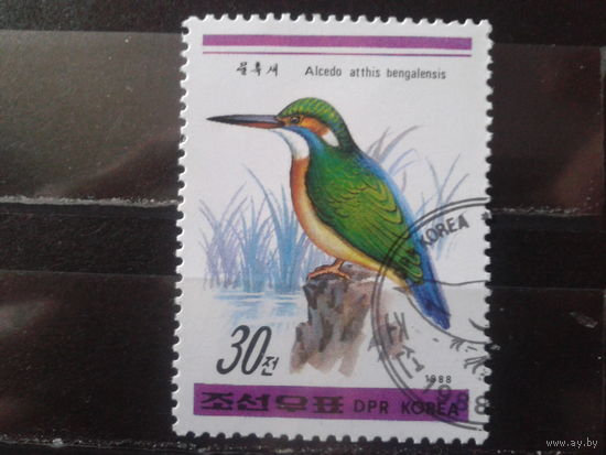 КНДР 1988 Птица
