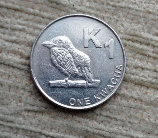 Werty71 Замбия 1 квача 2013 замбийский Бербет Птица