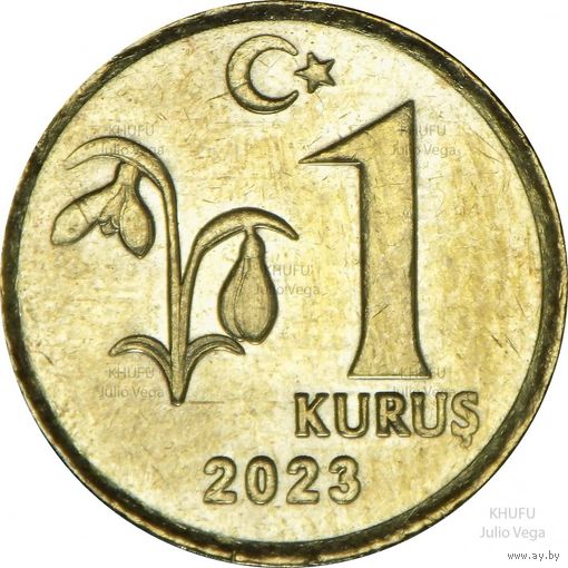 Турция 1 куруш, 2023 UNC