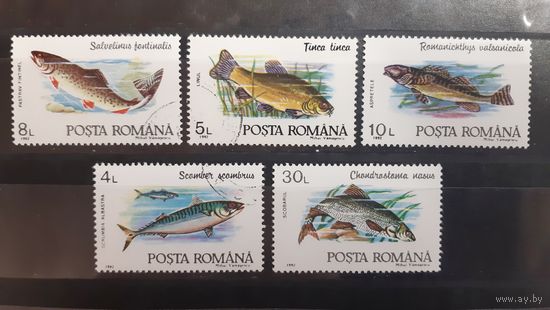 Румыния. 1992 год. Фауна. Рыбы (37)