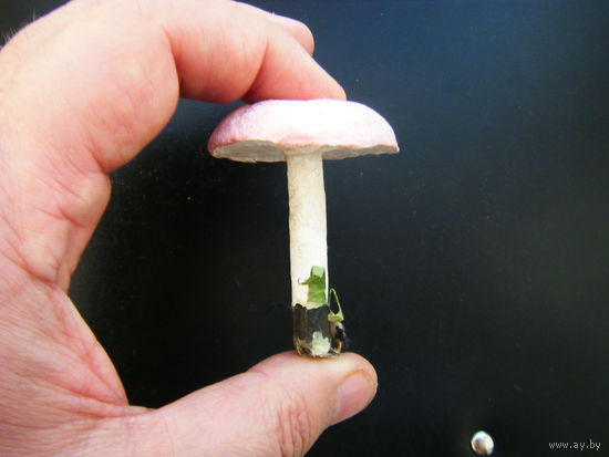 ГРИБ папье маше  50-е годы. Из СССР.