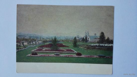 1954. Крымов. Утро в Центральном парке культуры и отдыха им. Горького