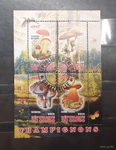 Конго. 2012 год. Флора. Грибы. Блок (1004)