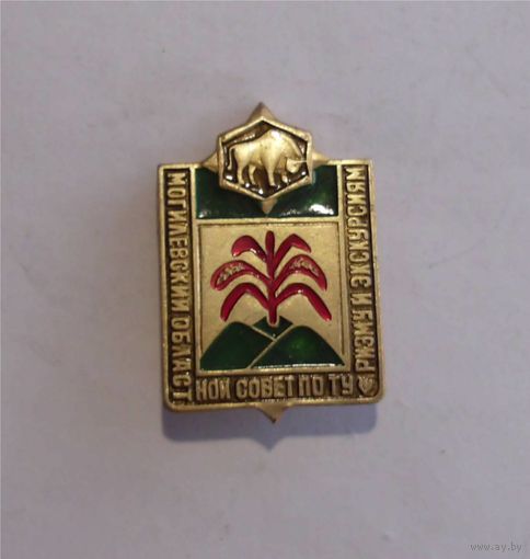 Значок СССР Могилёвский областной Совет по туризму и экскурсиям г.Могилев
