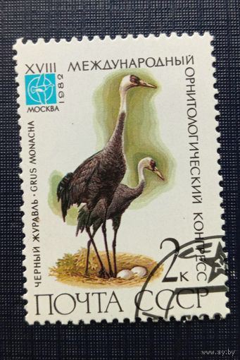 Марка СССР 1982 Черный журавль