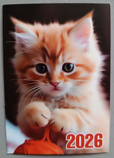 Котенок. Календарик, 2026