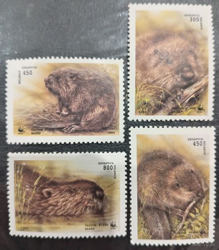 Беларусь 1996. Фауна. Европейский бобёр. Полная серия