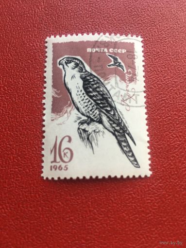 СССР 1965 год птицы