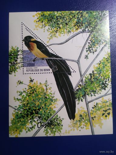 Бенин 1999г. Птицы.