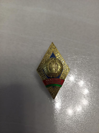 Знак Академии управления РБ
