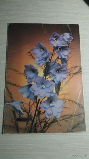 Открытка СССР