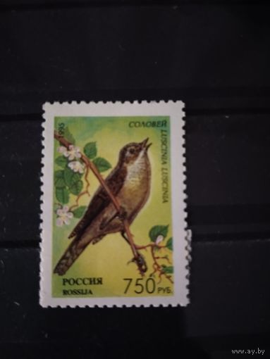 Россия  1995  соловей