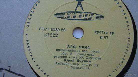 Пластинка для граммафона ( Если ты улыбнешься и др. )