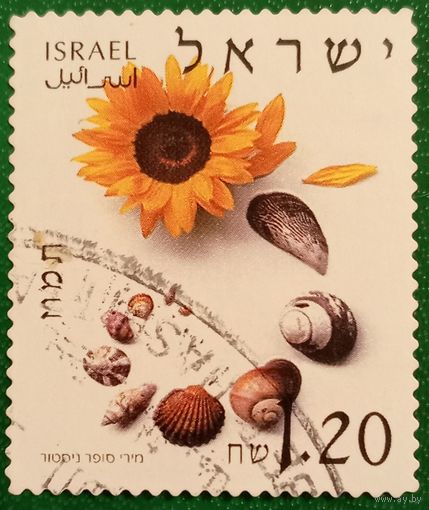 Израиль 2002. Подсолнух и ракушки