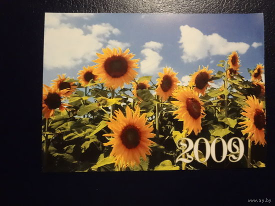 Календарик 2009 г.  Брестская типография.  Подсолнухи.