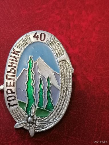 Значок Горельник 40