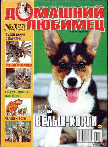 Домашний любимец #37