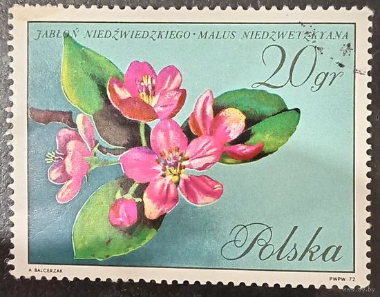 Польша 1972. Флора. Цветы яблони