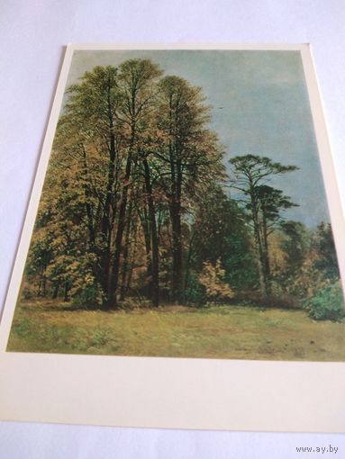 Открытка. И. Шишкин. Осень.