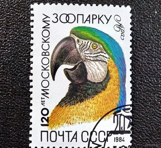 Марка СССР 1984 гол 120 лет Московскому зоопарку