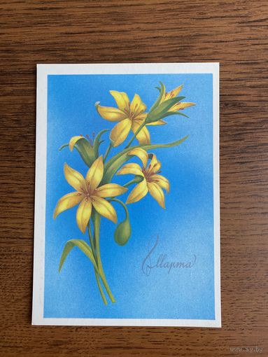 Открытка. Цена за одну.