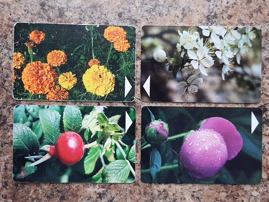 Лот телефонных карт РБ "Цветы" (4 шт.)