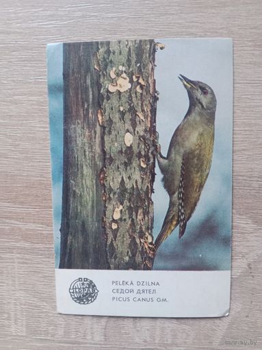 Календарик 1987